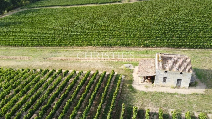 Photos 9 - Viticole - A vendre belle propriété de 18 ha avec une position dominante - Top terroir - A 35 mn de Bordeaux