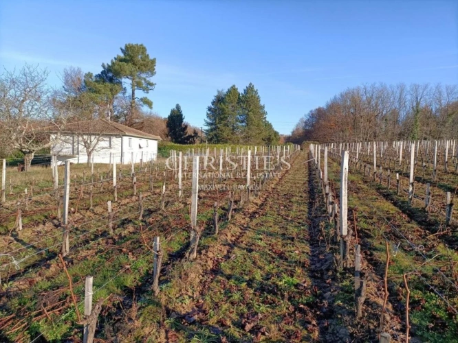 Photos 1 - Viticole - Petite propriété viticole de 6.86 hectares avec bâtiments d'exploitation en excellent état à vendre