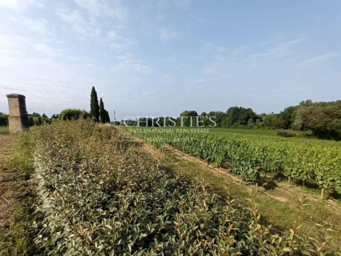 Photos 2 - Viticole - Petite propriété viticole de 6.86 hectares avec bâtiments d'exploitation en excellent état à vendre