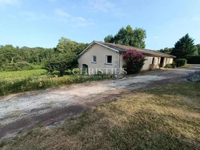 Photos 3 - Viticole - Petite propriété viticole de 6.86 hectares avec bâtiments d'exploitation en excellent état à vendre