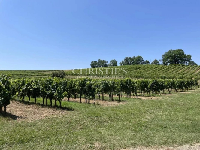 Photos 4 - Viticole - A vendre à 20 min de Bergerac, Belle propriété viticole familiale de 28ha en agriculture biologique, AOC Bordeaux