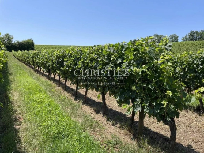 Photos 5 - Viticole - A vendre à 20 min de Bergerac, Belle propriété viticole familiale de 28ha en agriculture biologique, AOC Bordeaux