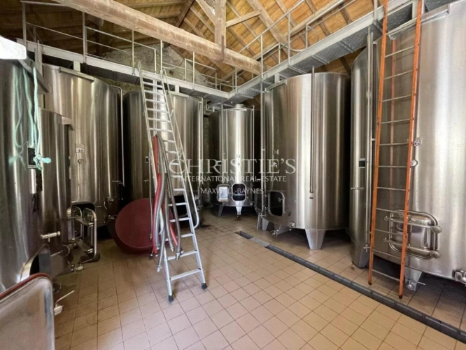 Photos 12 - Viticole - A vendre à 20 min de Bergerac, Belle propriété viticole familiale de 28ha en agriculture biologique, AOC Bordeaux