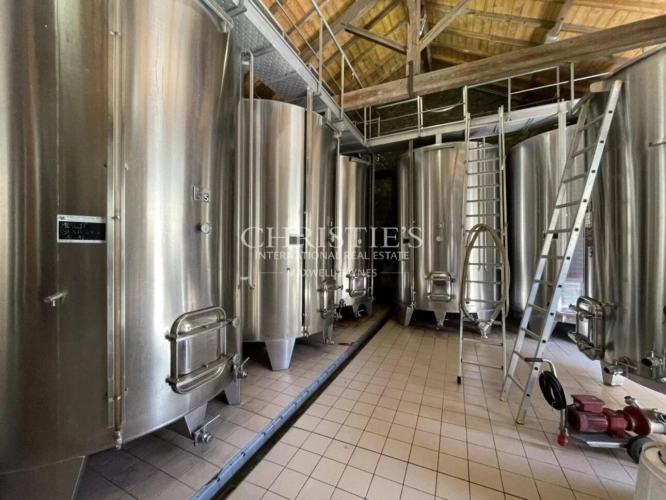 Photos 13 - Viticole - A vendre à 20 min de Bergerac, Belle propriété viticole familiale de 28ha en agriculture biologique, AOC Bordeaux