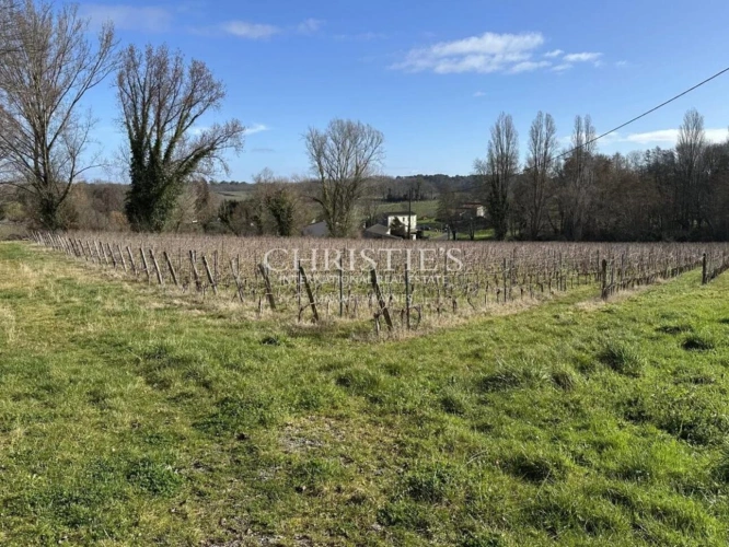 Photos 9 - Viticole - Ancien Château caractère avec 12 ha de vigne en AOC Lussac St Emilion
