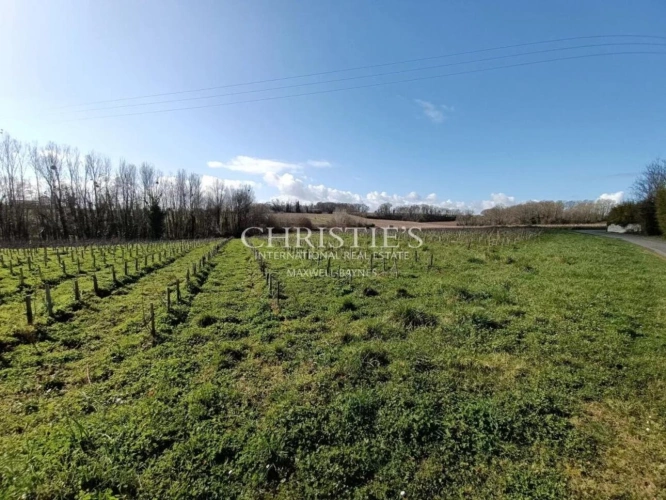 Photos 15 - Viticole - Ancien Château caractère avec 12 ha de vigne en AOC Lussac St Emilion