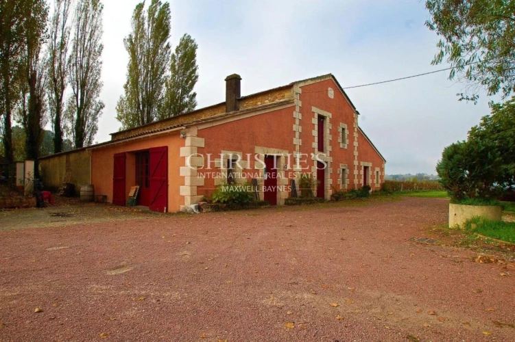 Photos 3 - Viticole - Propriété viticole biologique de 9 hectares clé-en-main