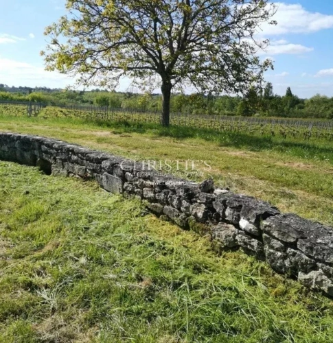 Photos 17 - Viticole - Propriété viticole biologique de 9 hectares clé-en-main