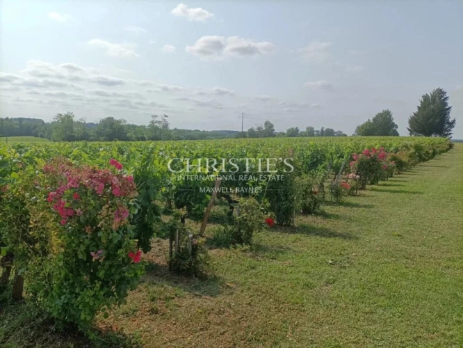 Photos 1 - Viticole - A vendre charmante propriété viticole de 8 ha près de Saint-Emilion