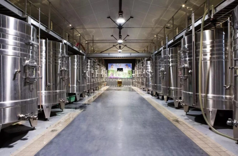 Photos 2 - Viticole - A vendre magnifique propriété de 75 ha en AOC Blaye Côtes de Bordeaux