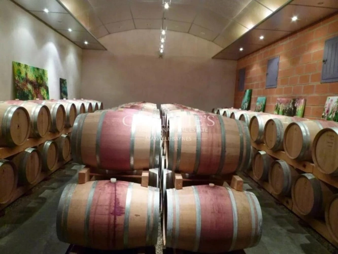 Photos 2 - Viticole - Propriété viticole nord Médoc - Bien entretenue - Charmante Girondine - Bâtiments d'exploitation de qualité