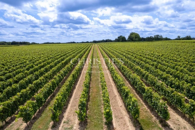 Photos 4 - Prestige - A vendre Entre-Deux-Mers très beau domaine viticole avec un excellent terroir, des vins de qualité et un beau Château
