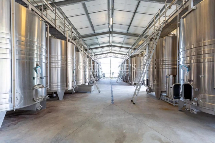 Photos 5 - Prestige - A vendre Entre-Deux-Mers très beau domaine viticole avec un excellent terroir, des vins de qualité et un beau Château