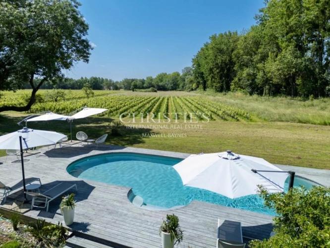 Photos 6 - Viticole - A vendre beau domaine viticole clé en main sur les rives de la Dordogne à proximité de Saint-Emilion