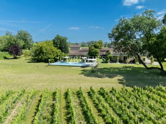 Photos 11 - Viticole - A vendre beau domaine viticole clé en main sur les rives de la Dordogne à proximité de Saint-Emilion