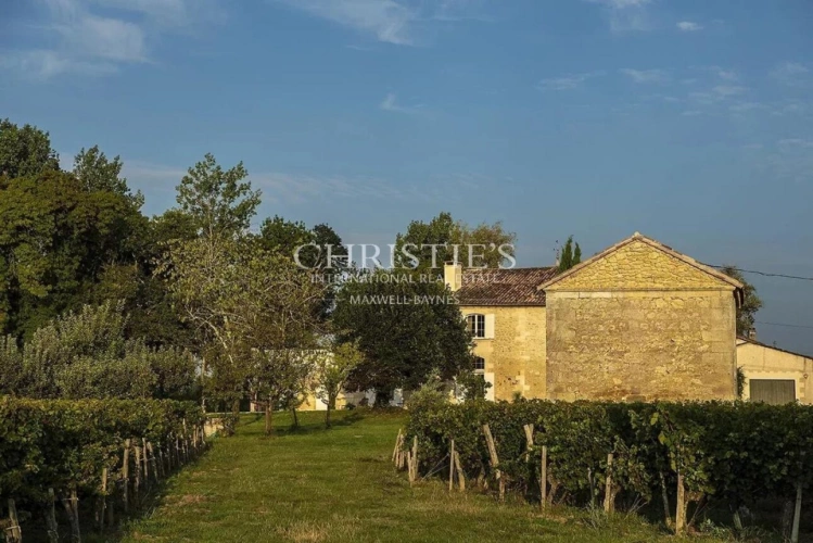 Photos 17 - Viticole - A vendre beau domaine viticole clé en main sur les rives de la Dordogne à proximité de Saint-Emilion