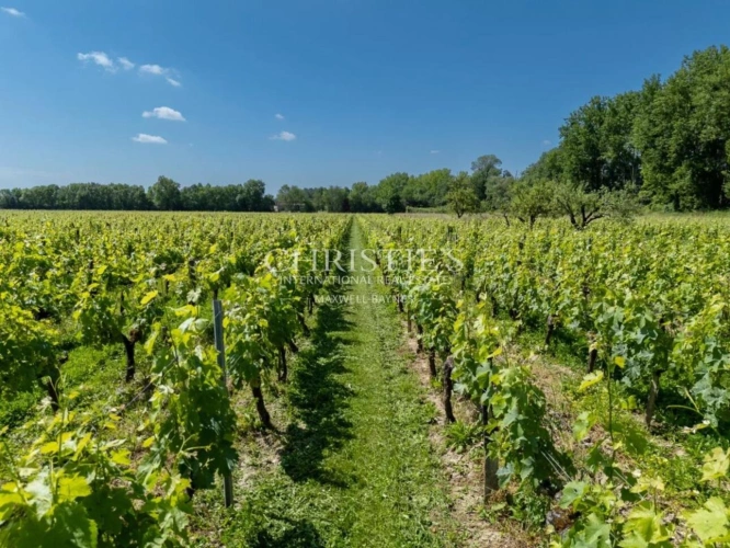 Photos 20 - Viticole - A vendre beau domaine viticole clé en main sur les rives de la Dordogne à proximité de Saint-Emilion