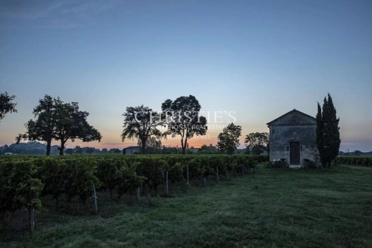 Photos 23 - Viticole - A vendre beau domaine viticole clé en main sur les rives de la Dordogne à proximité de Saint-Emilion
