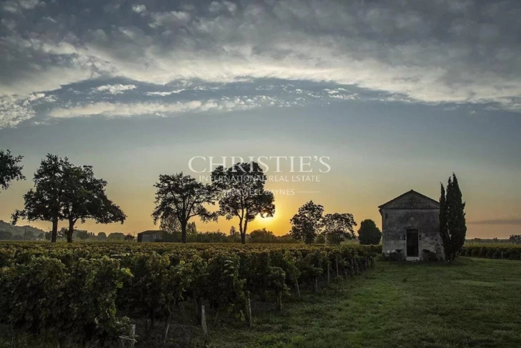 Photos 24 - Viticole - A vendre beau domaine viticole clé en main sur les rives de la Dordogne à proximité de Saint-Emilion