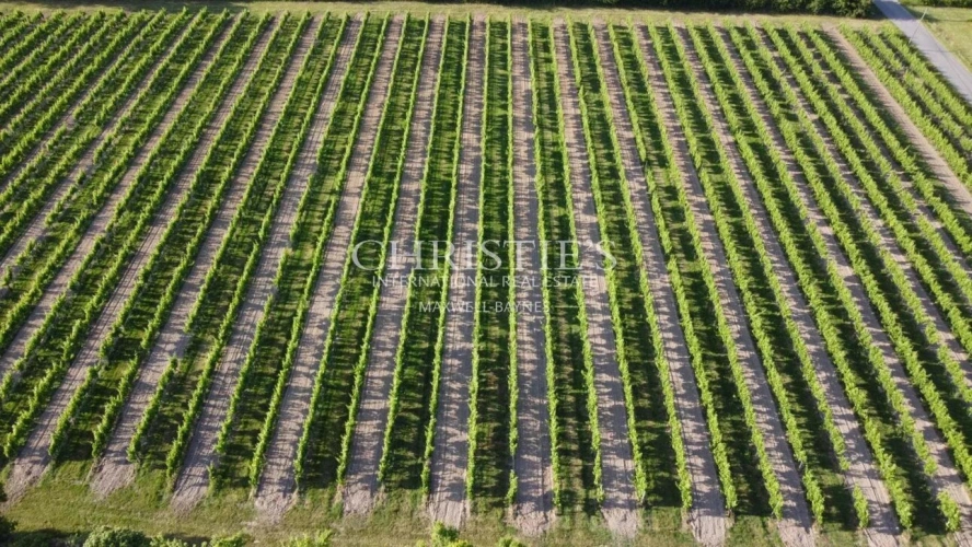 Photos 4 - Prestige - A vendre - propriété viticole de 11 ha - Belle chartreuse à rénover