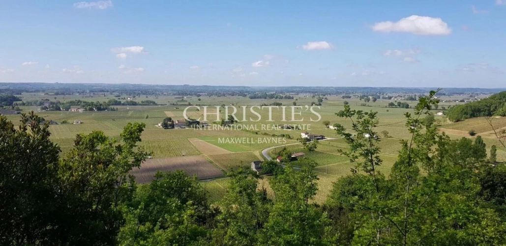 Photos 1 - Viticole - A vendre jolie propriété de 1 ha en AOC Saint-Emilion