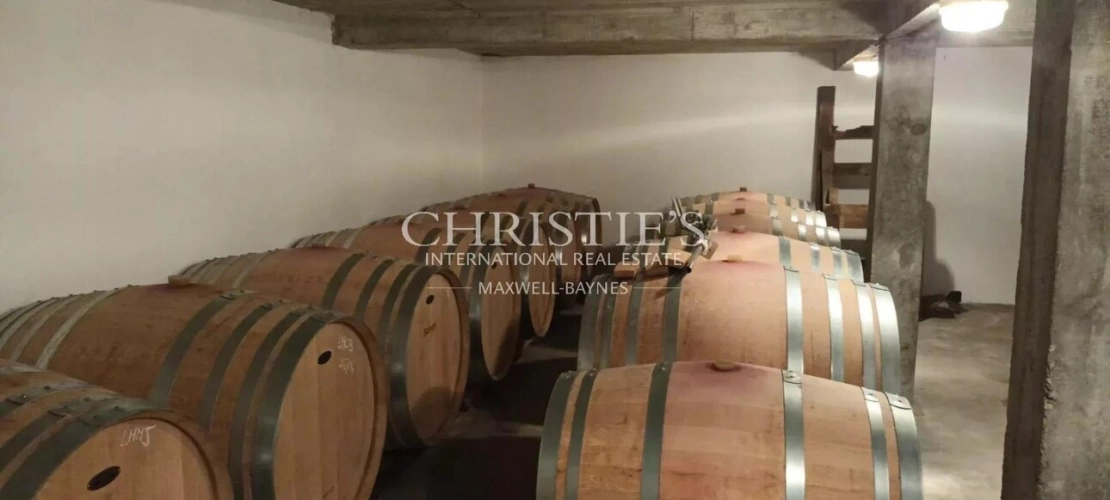 Photos 3 - Viticole - A vendre jolie propriété de 1 ha en AOC Saint-Emilion