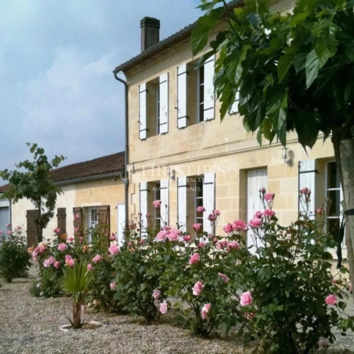 Photos 4 - Viticole - A vendre jolie propriété de 1 ha en AOC Saint-Emilion