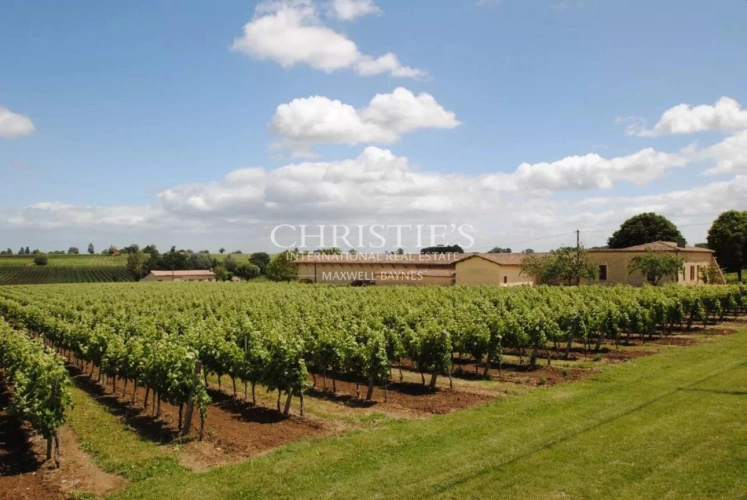 Photos 2 - Viticole - A vendre propriété viticole de 26 ha – Très bien entretenue – Clé en main !
