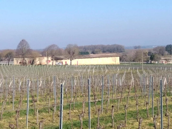 Photos 10 - Viticole - A vendre propriété viticole de 26 ha – Très bien entretenue – Clé en main !