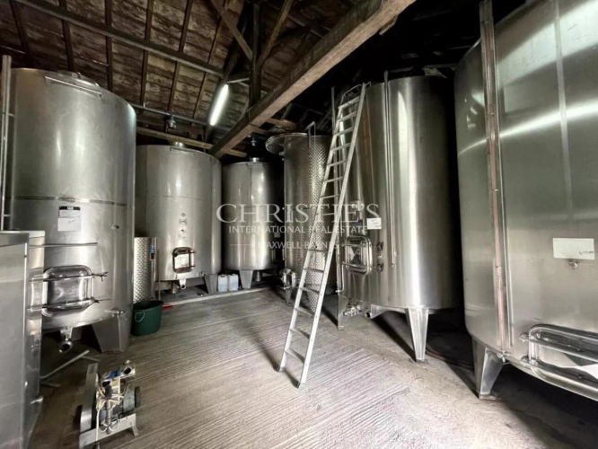 Photos 5 - Viticole - A vendre, à 15 min de Bergerac, Propriété familiale et son vignoble de 13ha, AOC Bergerac