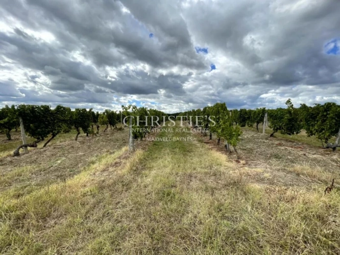 Photos 8 - Viticole - A vendre, à 15 min de Bergerac, Propriété familiale et son vignoble de 13ha, AOC Bergerac