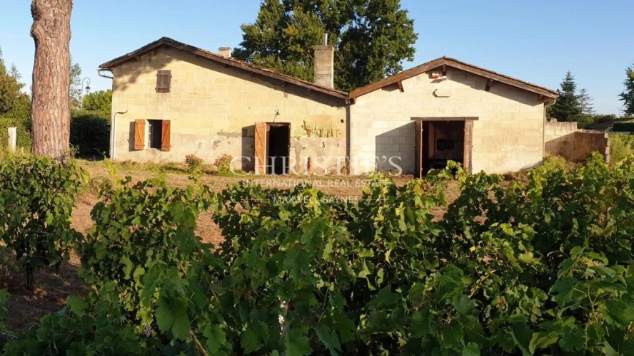 Photos 1 - Vineyard - For sale about 2,5 ha of AOC Saint-Emilion vine and smalle house to renovate