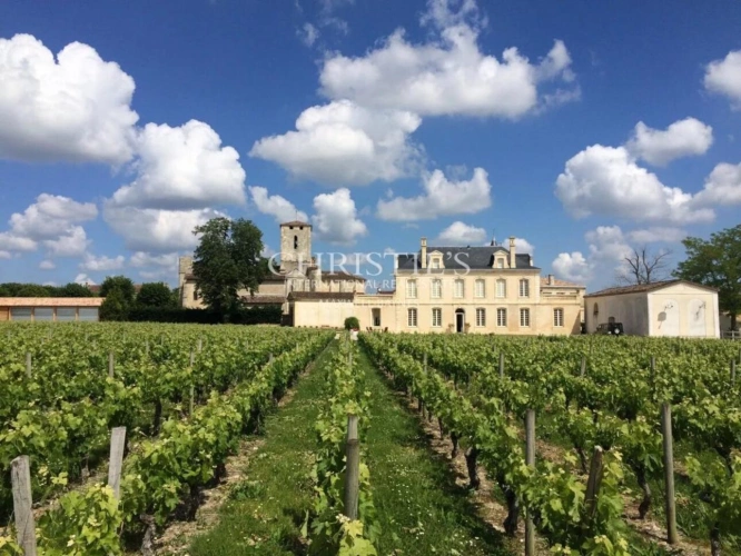 Photos 2 - Viticole - Beau Château à vendre avec 1 ha en AOC Médoc