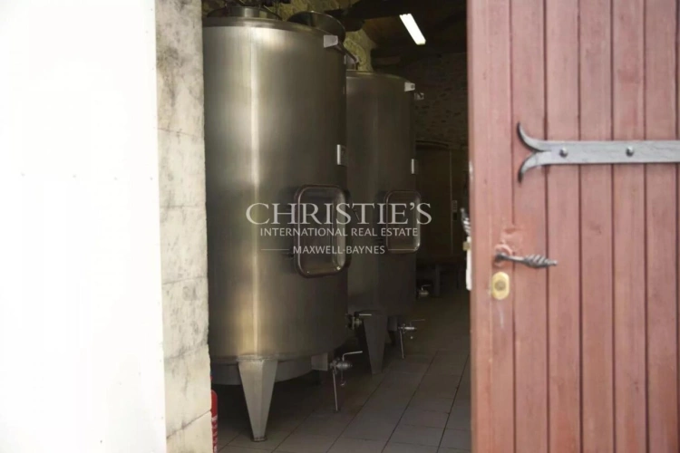 Photos 13 - Viticole - Beau Château à vendre avec 1 ha en AOC Médoc