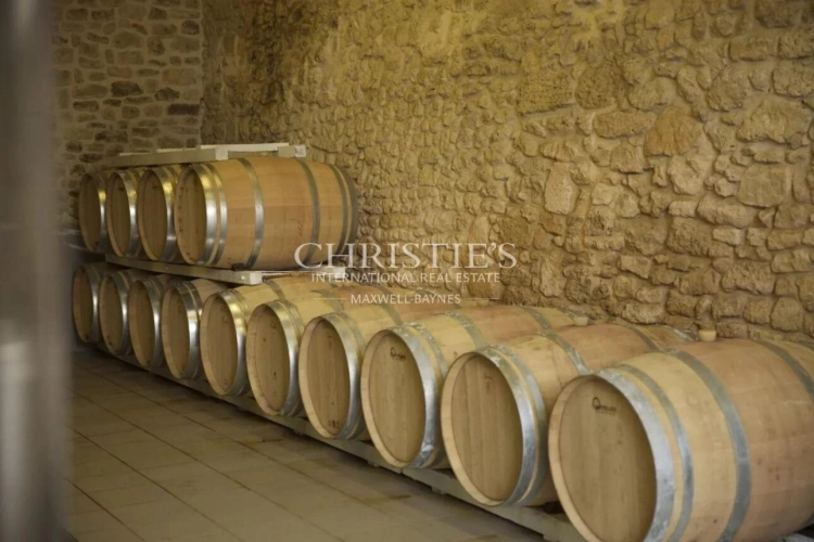 Photos 14 - Viticole - Beau Château à vendre avec 1 ha en AOC Médoc