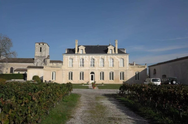 Photos 15 - Viticole - Beau Château à vendre avec 1 ha en AOC Médoc
