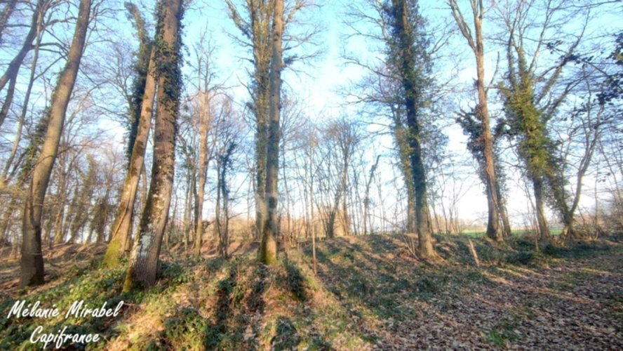 Photos 1 - Foncière - Terrain de loisir à vendre SYLVAINS LES MOULINS (27)