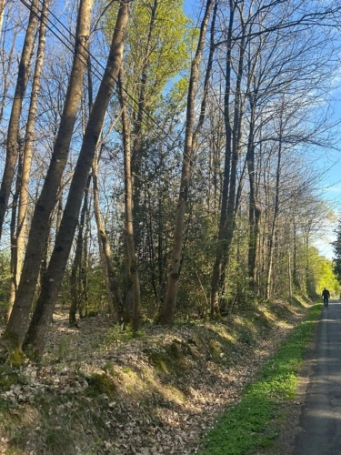 Photos 5 - Foncière - Terrain à vendre  LE VIEIL BAUGE (49)
