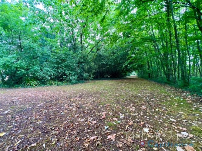 Photos 6 - Prestige - Propriété de caractère nichée au coeur d'un parc paysager à vendre  NIHERNE (36)