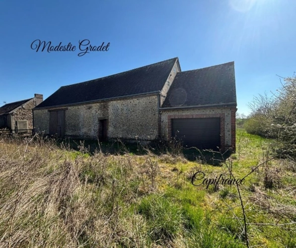 Photos 1 - Touristique - Grange à vendre 1 pièces Proche illiers-combray (28)