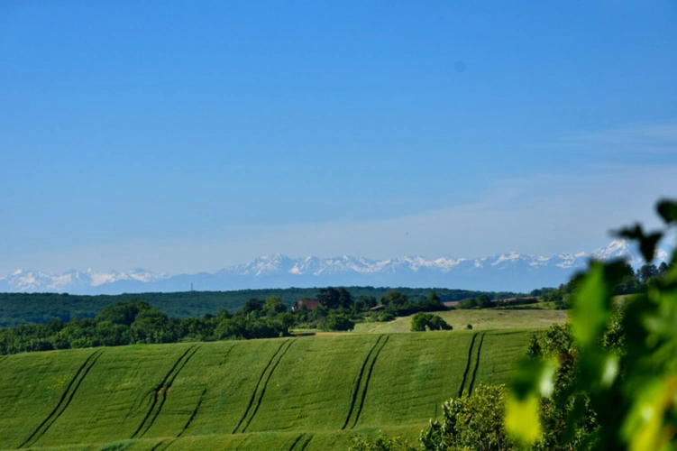 Photos 20 - Prestigious - Dpt Gers (32), for sale BAZIAN property P12 of 430 m² - Land of 1.60 Ha