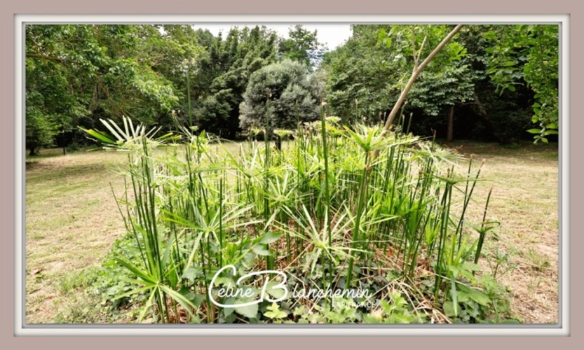 Photos 32 - Tourist - Property for sale 32 rooms near CARCASSONNE (11) 2 dwellings 522m2 + park 2.82 hectares + outbuildin
