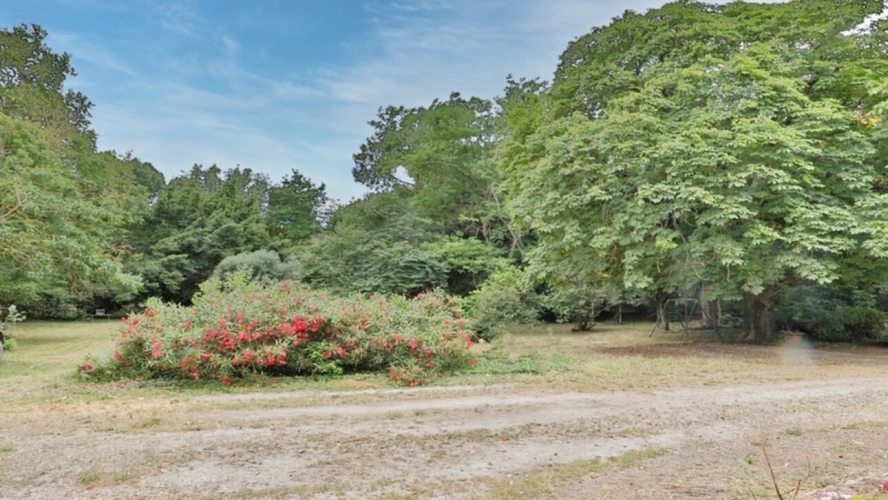 Photos 33 - Tourist - Property for sale 32 rooms near CARCASSONNE (11) 2 dwellings 522m2 + park 2.82 hectares + outbuildin