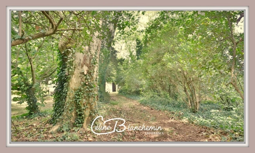 Photos 38 - Tourist - Property for sale 32 rooms near CARCASSONNE (11) 2 dwellings 522m2 + park 2.82 hectares + outbuildin