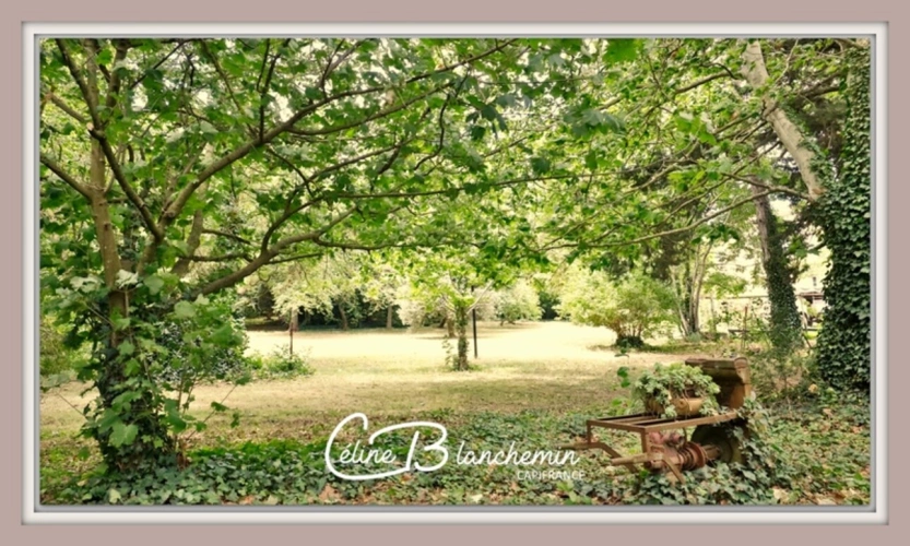 Photos 45 - Tourist - Property for sale 32 rooms near CARCASSONNE (11) 2 dwellings 522m2 + park 2.82 hectares + outbuildin