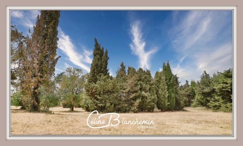 Photos 48 - Tourist - Property for sale 32 rooms near CARCASSONNE (11) 2 dwellings 522m2 + park 2.82 hectares + outbuildin