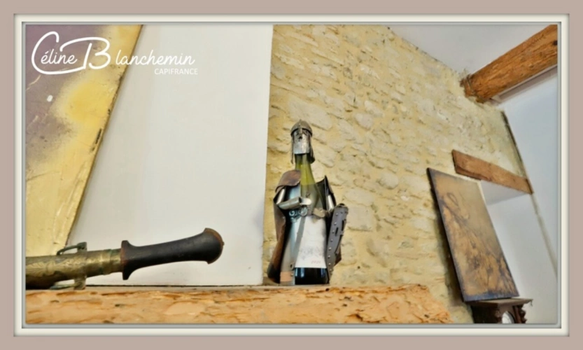 Photos 14 - Tourist - Property for sale 32 rooms near CARCASSONNE (11) 2 dwellings 522m2 + park 2.82 hectares + outbuildin