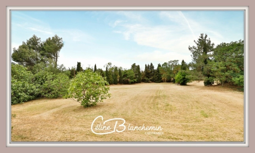 Photos 29 - Tourist - Property for sale 32 rooms near CARCASSONNE (11) 2 dwellings 522m2 + park 2.82 hectares + outbuildin