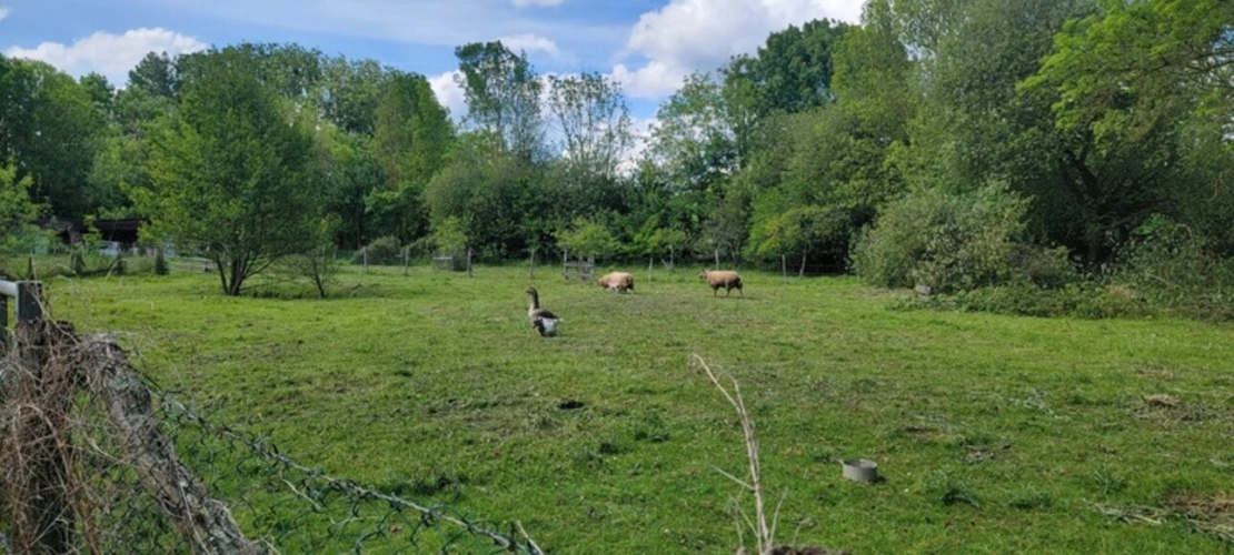 Photos 4 - Foncière - Terrain à vendre   ()