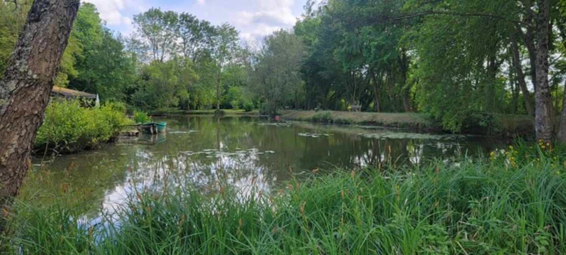 Photos 5 - Foncière - Terrain à vendre   ()